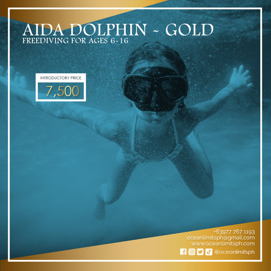 AIDA Dolphin - Gold/Silver/Bronze