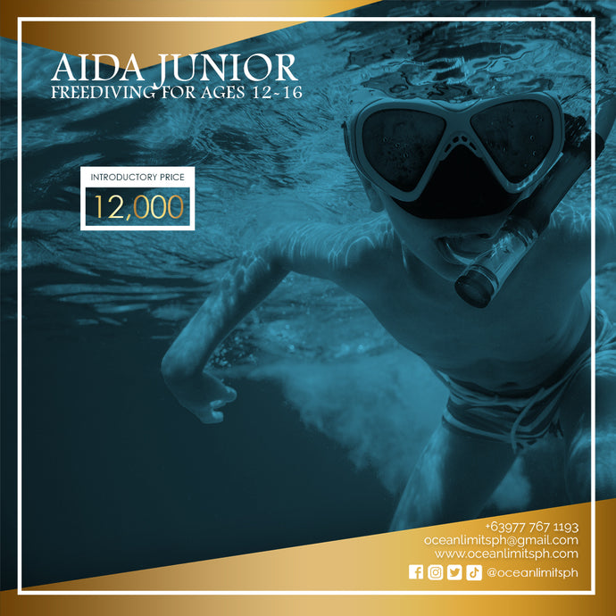 AIDA Junior