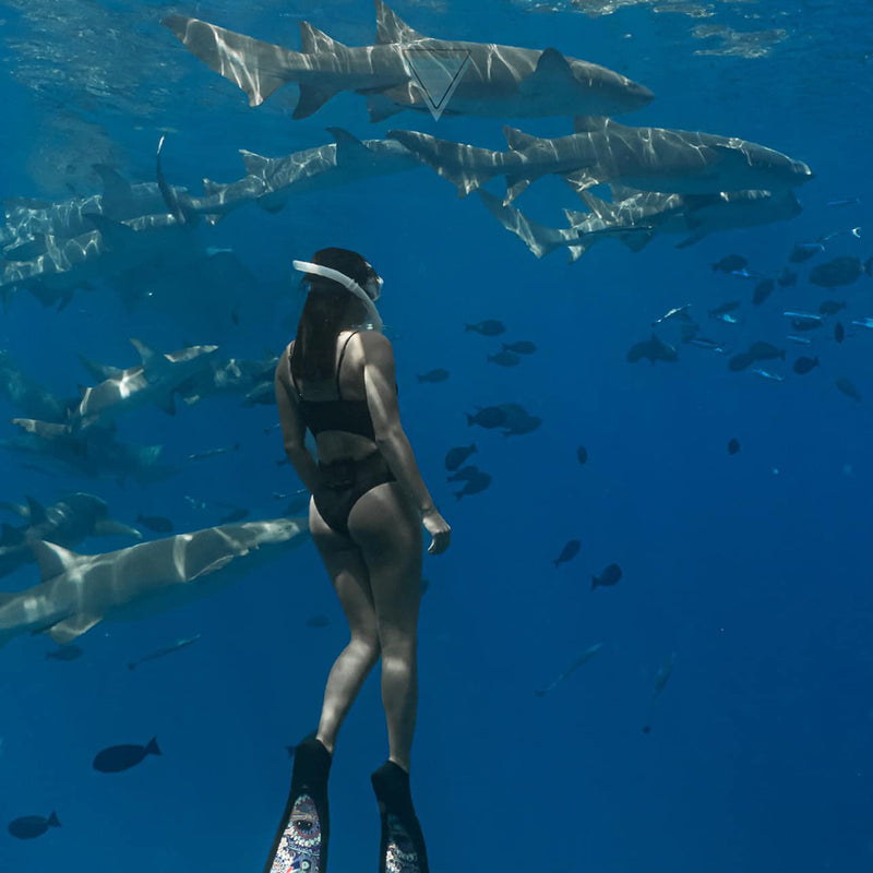 Load image into Gallery viewer, Maldives Freediving Retreat April 9-16, 2024
