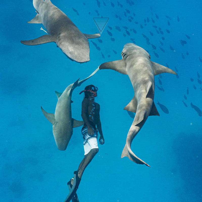 Load image into Gallery viewer, Maldives Freediving Retreat April 9-16, 2024
