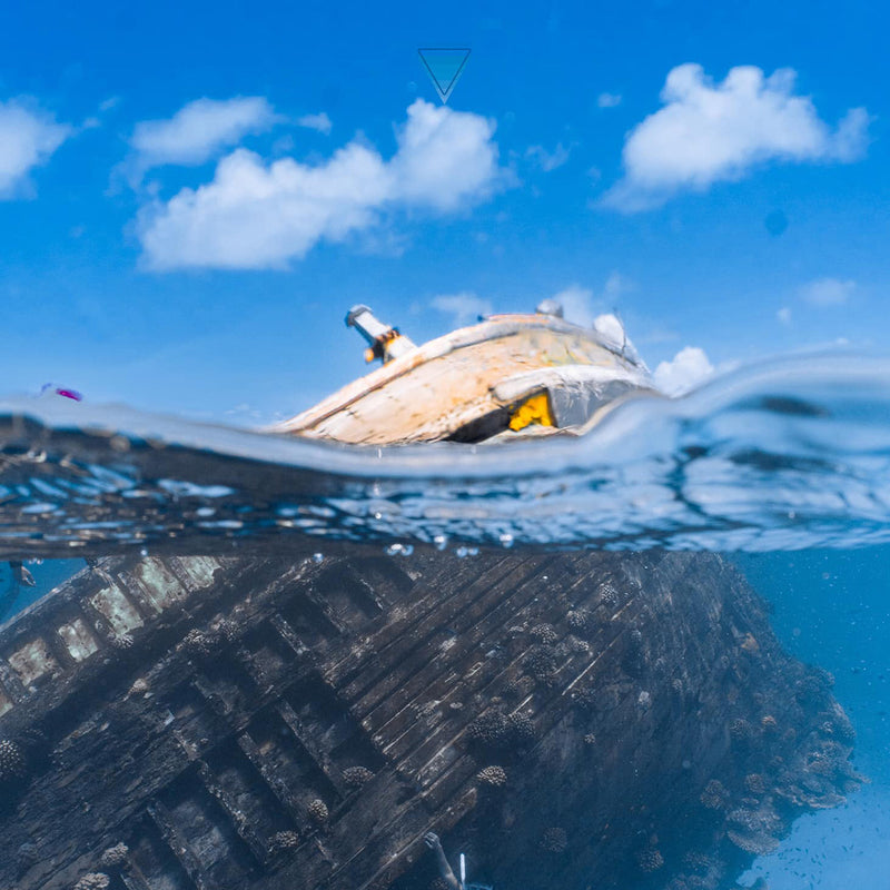 Load image into Gallery viewer, Maldives Freediving Retreat April 9-16, 2024
