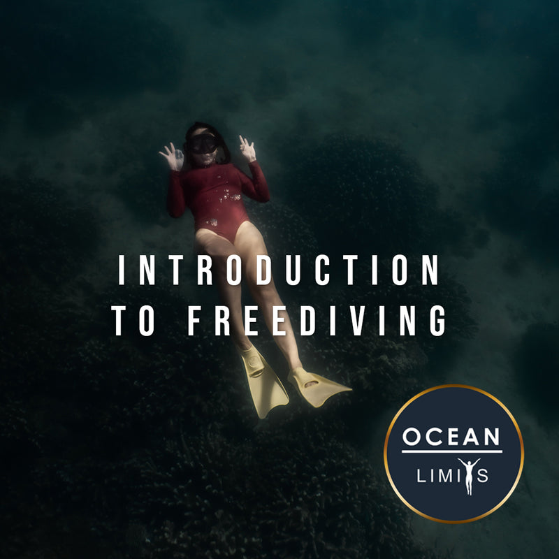 Load image into Gallery viewer, Introduction to Freediving - Day Trip
