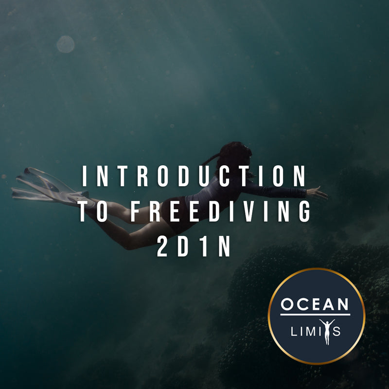 Load image into Gallery viewer, Introduction to Freediving - Overnight
