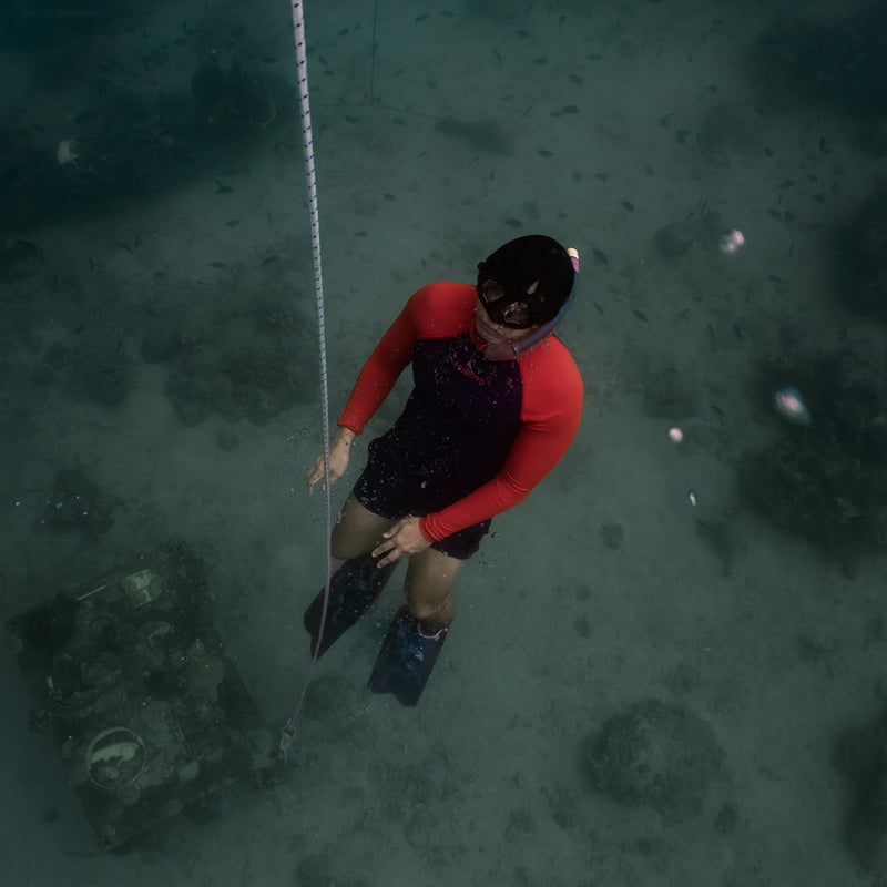 Load image into Gallery viewer, Introduction to Freediving - Day Trip
