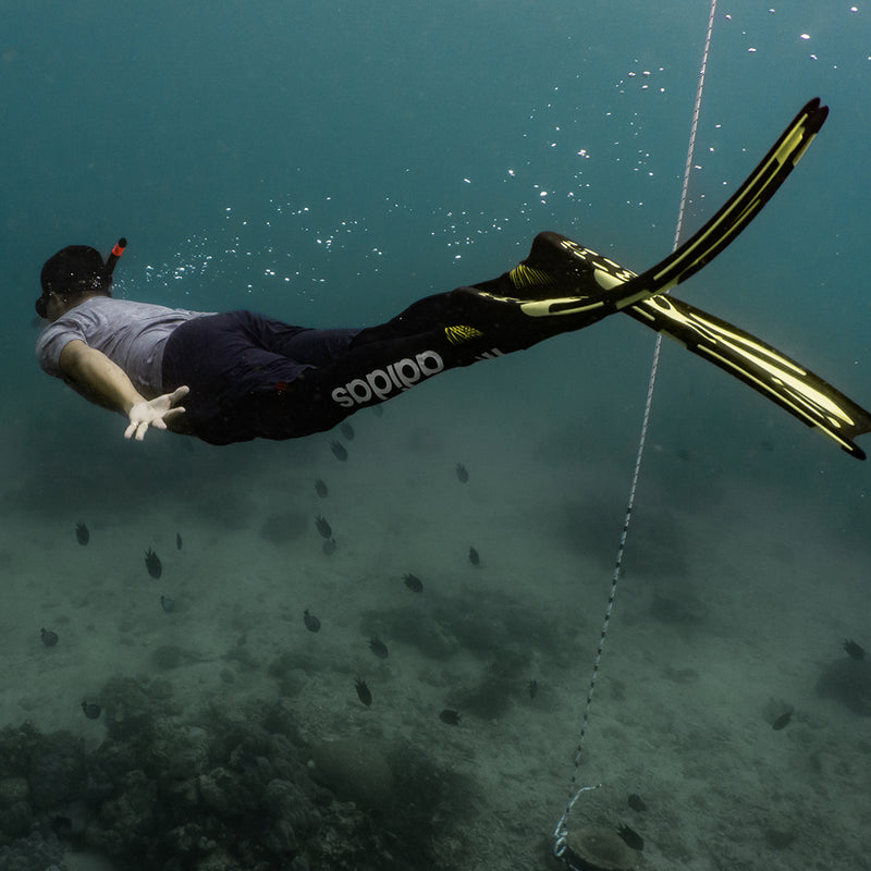 Load image into Gallery viewer, Introduction to Freediving - Day Trip
