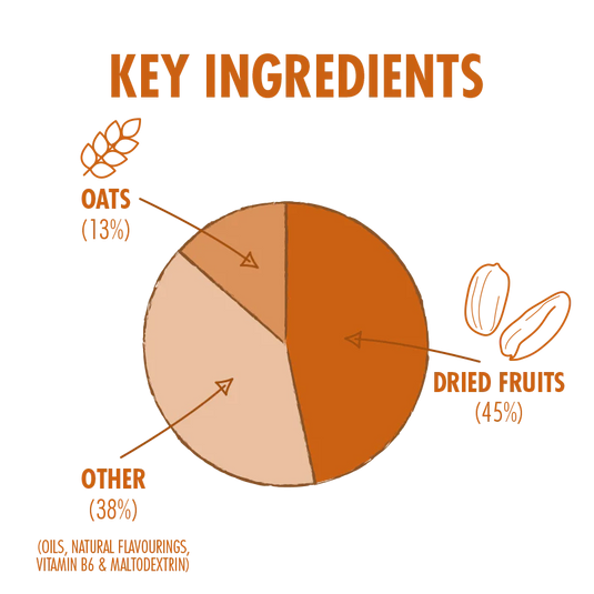 HIGH5 Energy Protein Bar 55g