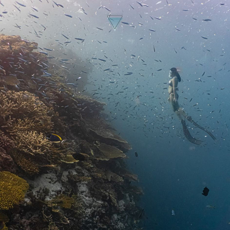 Load image into Gallery viewer, Maldives Freediving Retreat April 9-16, 2024
