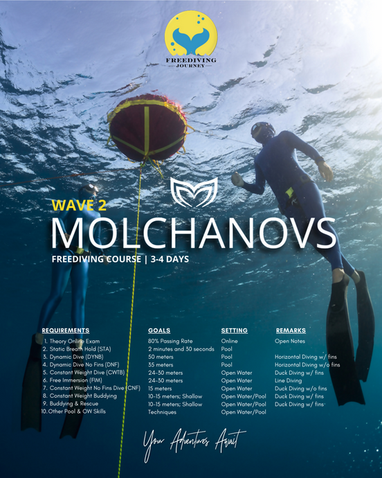 Molchanovs Wave 2 Freediving Certification Course