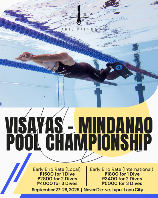 VisMin Pool Competition 2025