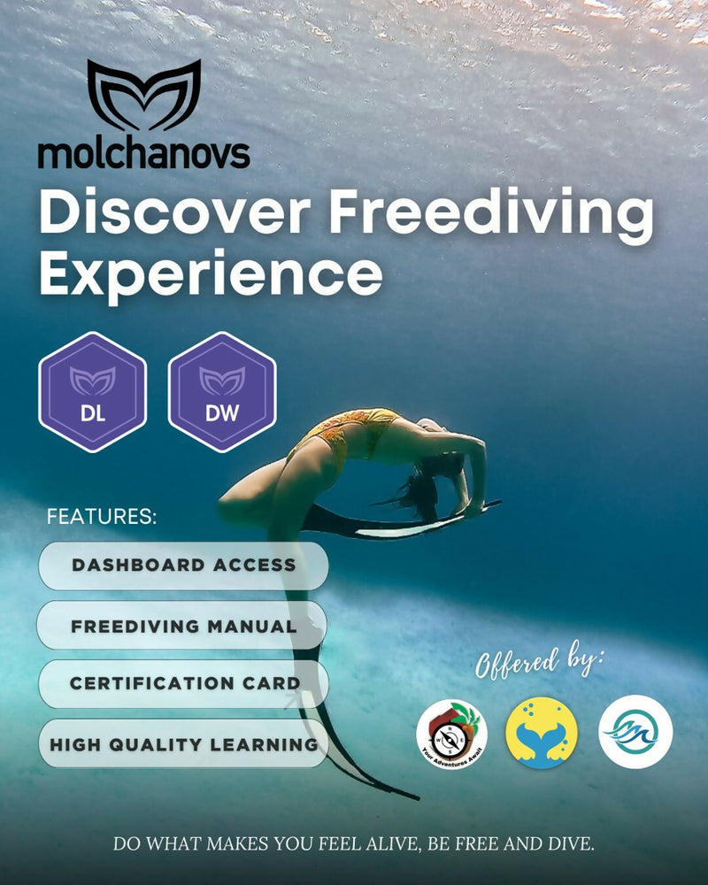 Load image into Gallery viewer, Molchanovs Discover Wave - Freediving Course for Beginners
