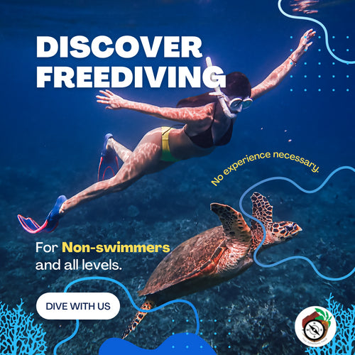 1PAX DISCOVER FREEDIVING (Daytour) for Non-swimmers & Beginners - Class Only