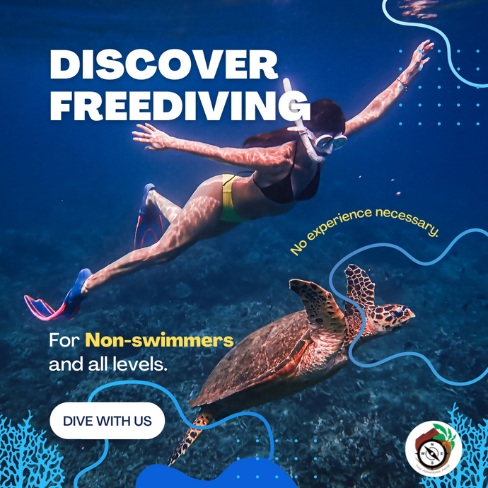 DISCOVER FREEDIVING (Overnight) for Non-swimmers & Beginners - Class Only