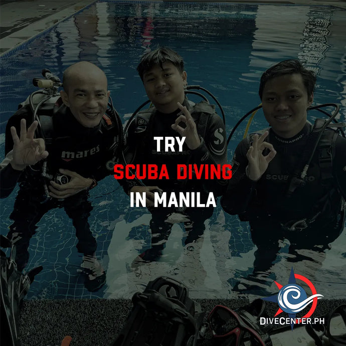 Try Scuba Diving in Manila