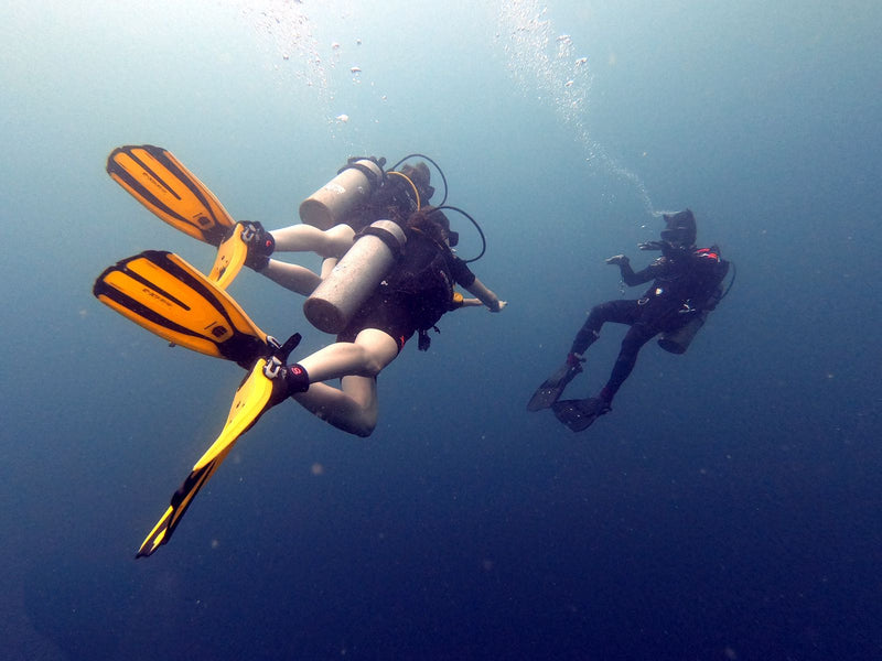 Load image into Gallery viewer, SSI Open Water Diver
