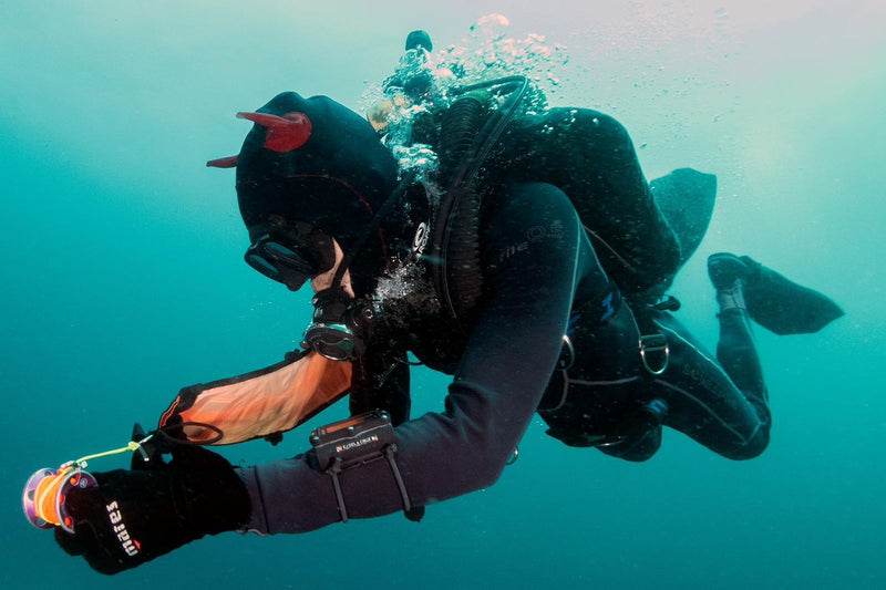 Load image into Gallery viewer, SSI Open Water Diver
