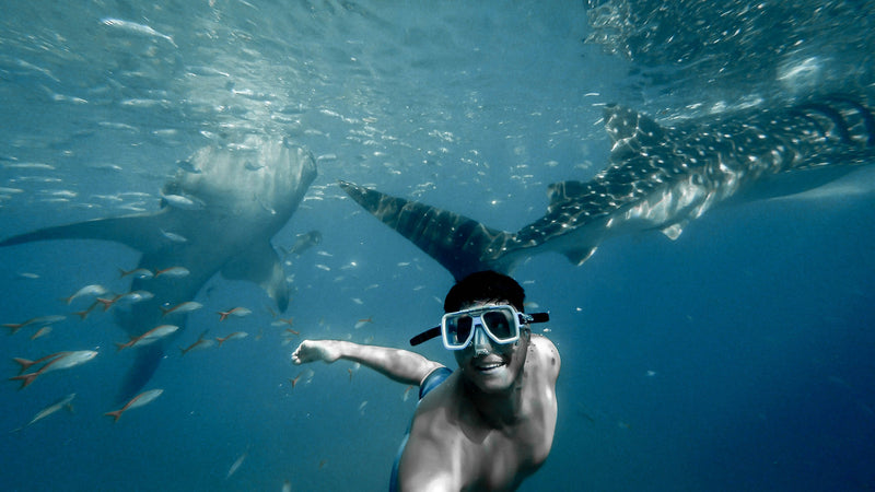 Load image into Gallery viewer, Whale Shark Watching + Kawasan Canyoneering
