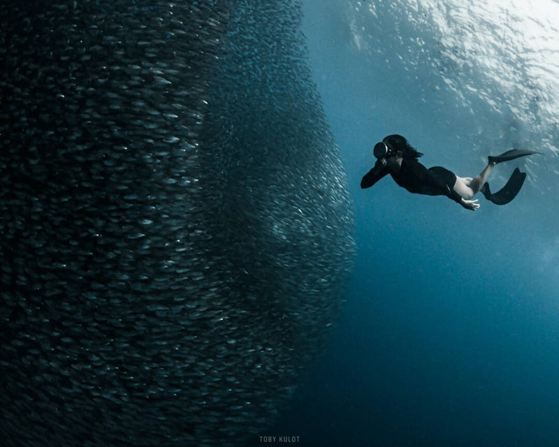 Load image into Gallery viewer, Moalboal Island Hopping (Pescador Island + Sardines Run + Turtle Bay)
