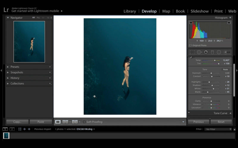 Load image into Gallery viewer, Underwater Photography Post Production
