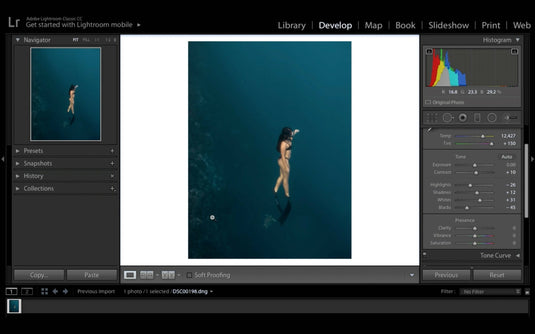 Underwater Photography Post Production